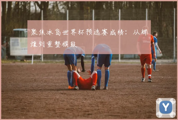 聚焦冰岛世界杯预选赛成绩：从辉煌到重整旗鼓