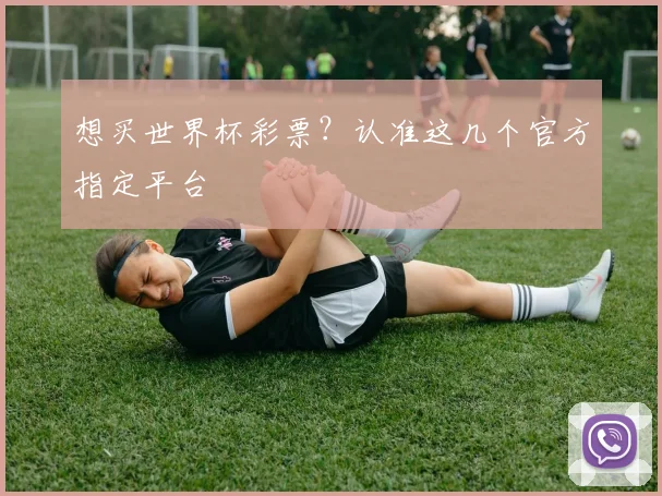 想买世界杯彩票？认准这几个官方指定平台