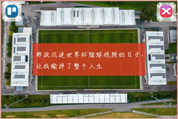 那段沉迷世界杯赌球视频的日子，让我输掉了整个人生
