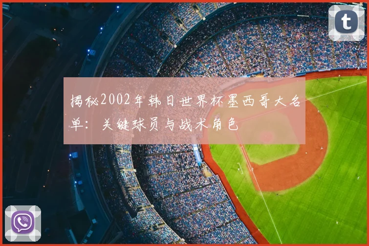 揭秘2002年韩日世界杯墨西哥大名单：关键球员与战术角色