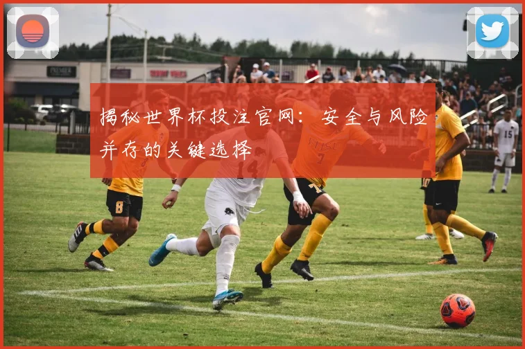 揭秘世界杯投注官网:安全与风险并存的关键选择