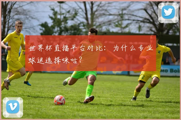 世界杯直播平台对比:为什么专业球迷选择咪咕?