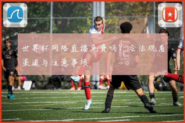 世界杯网络直播免费吗?合法观看渠道与注意事项