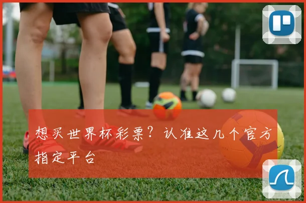 想买世界杯彩票？认准这几个官方指定平台