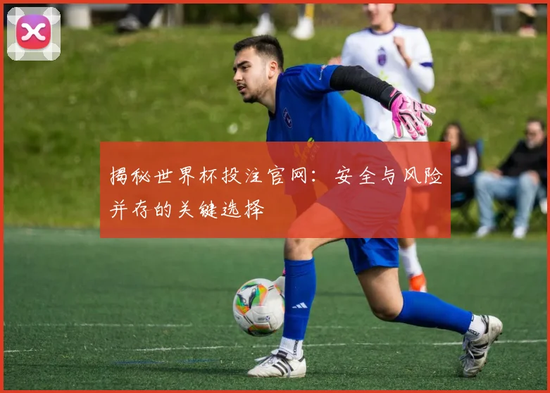 揭秘世界杯投注官网:安全与风险并存的关键选择