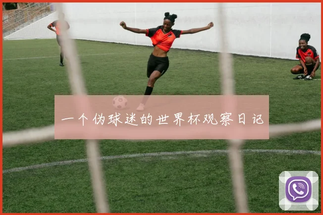一个伪球迷的世界杯观察日记
