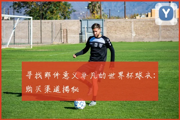 寻找那件意义非凡的世界杯球衣:购买渠道揭秘