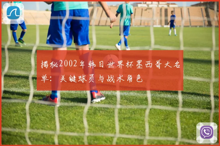 揭秘2002年韩日世界杯墨西哥大名单：关键球员与战术角色